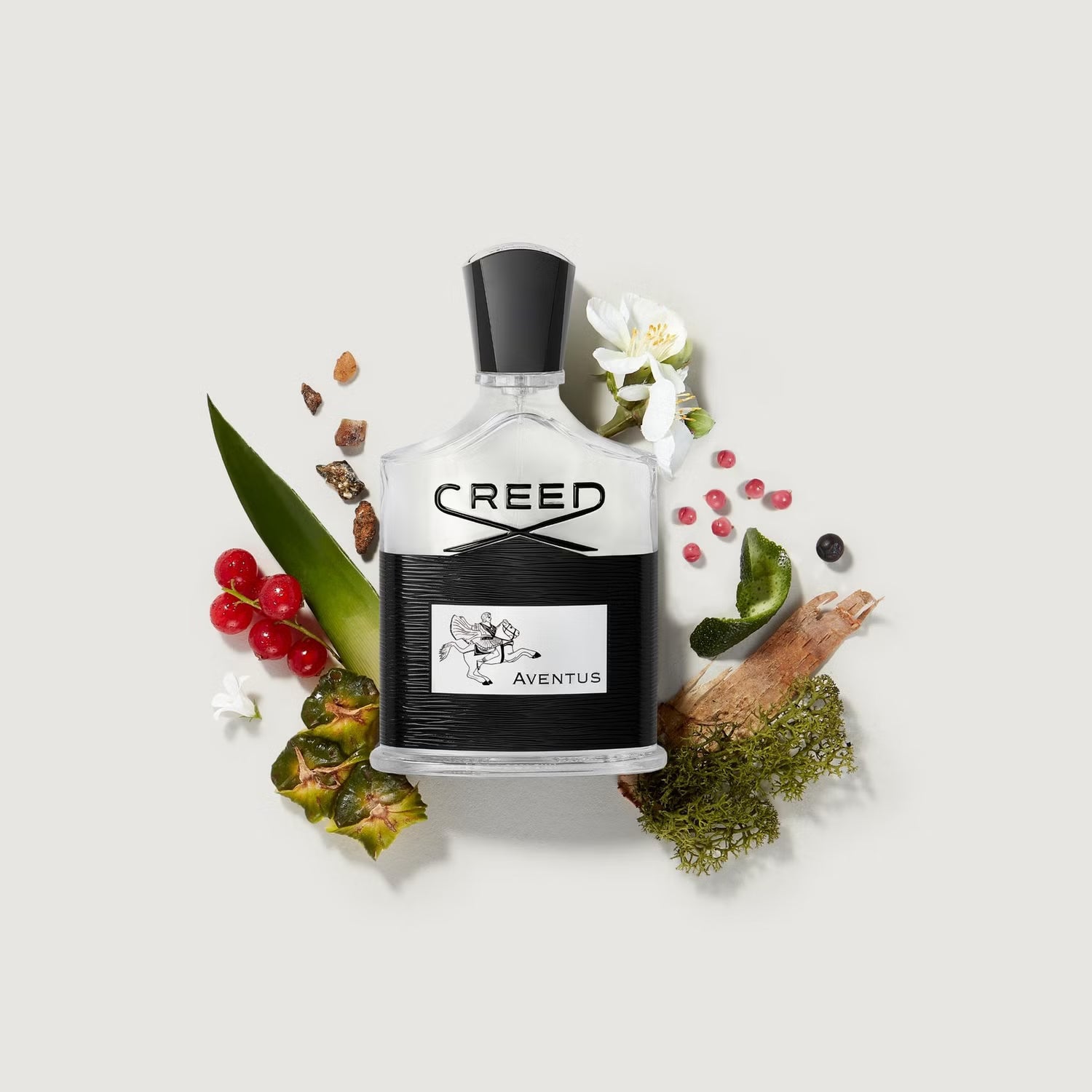 Creed – Aventus