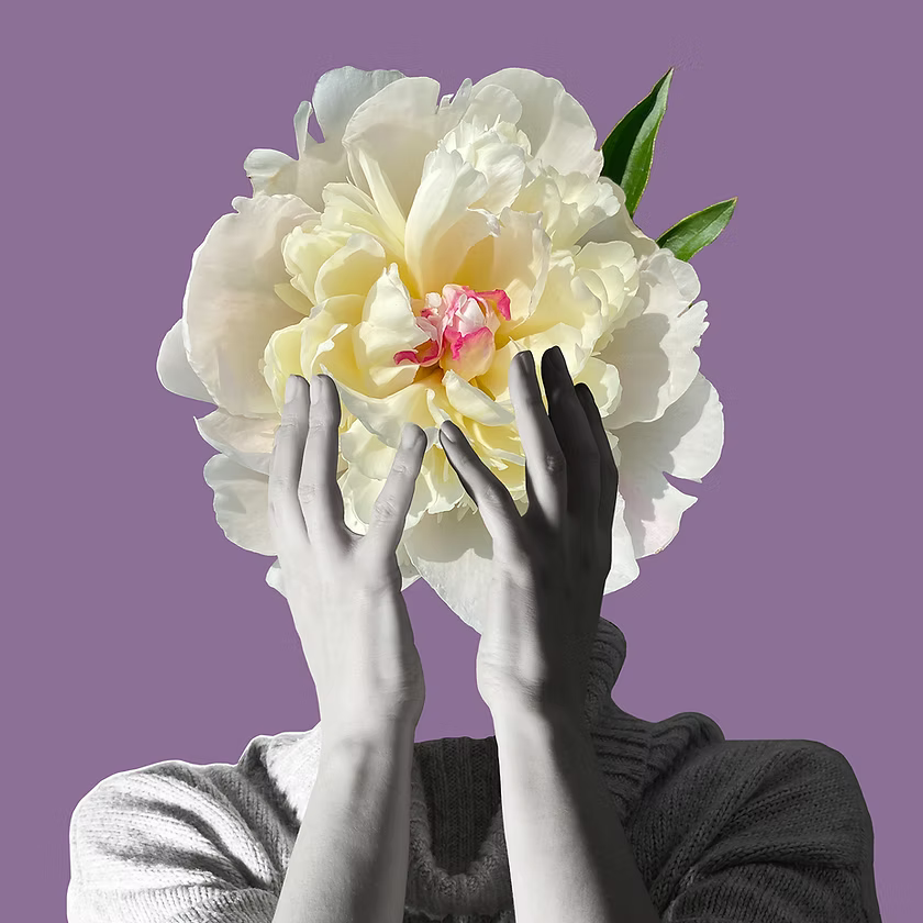 New Notes – Osmantho Shock