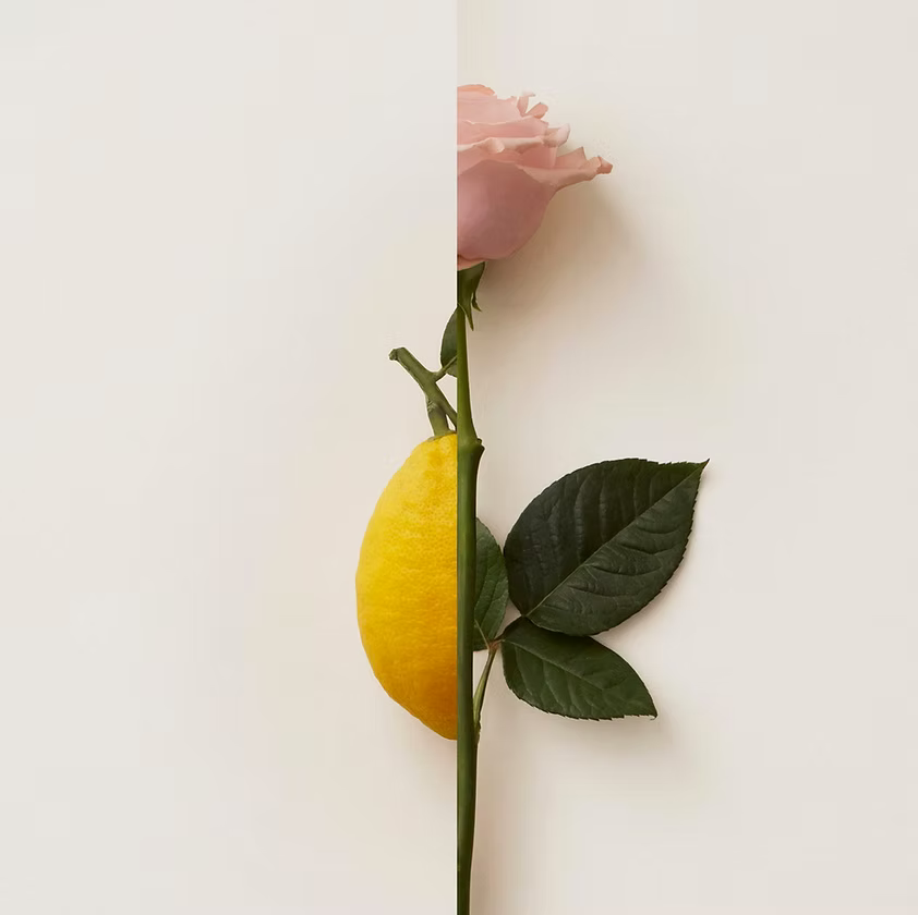 New Notes – Rosa Limone