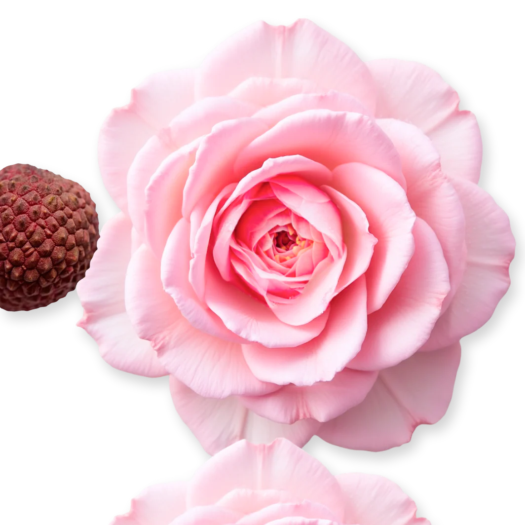 Parfums de Marly – Delina