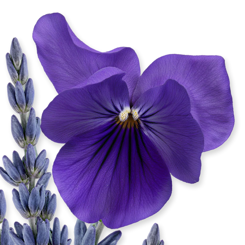 Parfums de Marly – Palatine