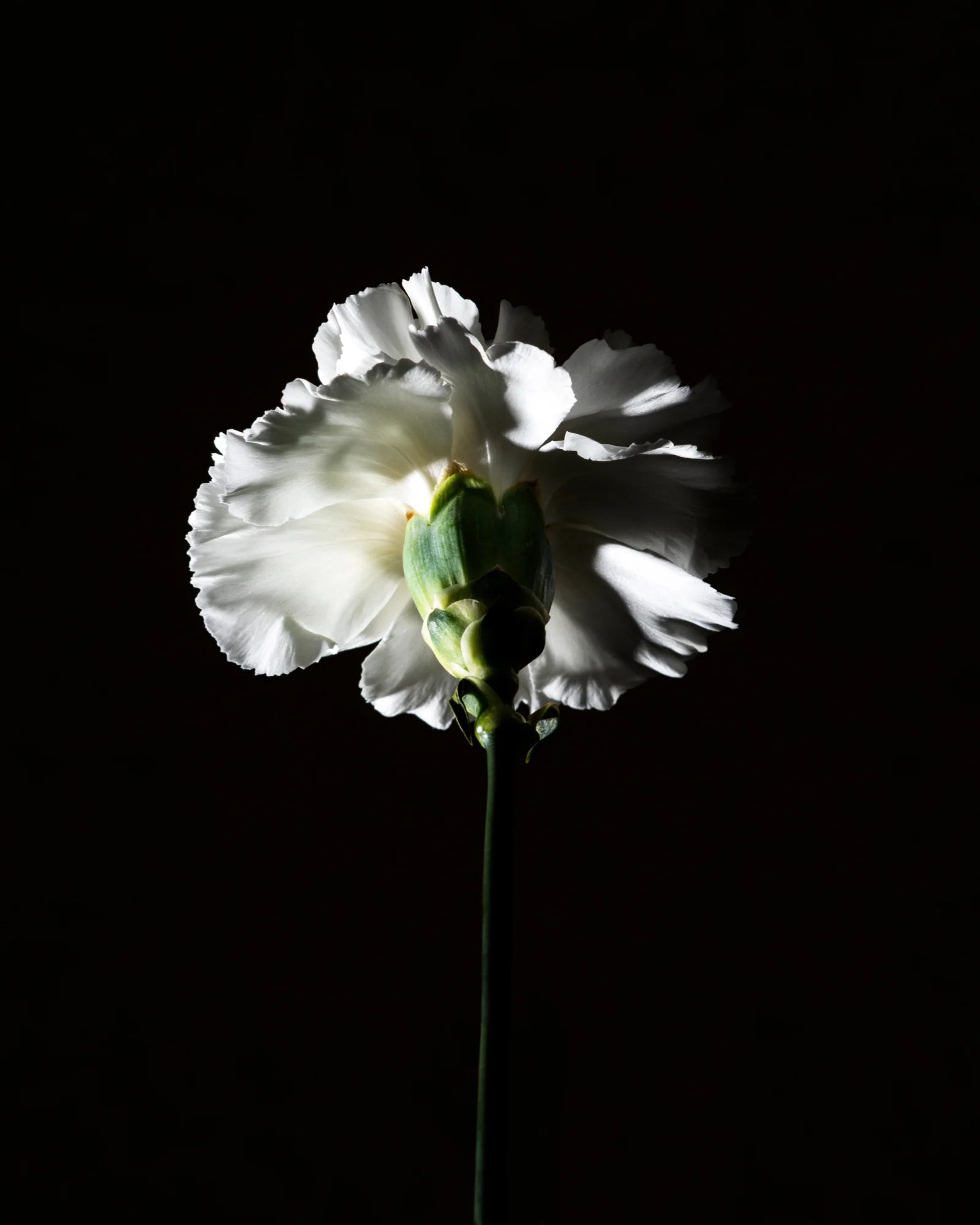 BDK Parfums – Pas Ce Soir