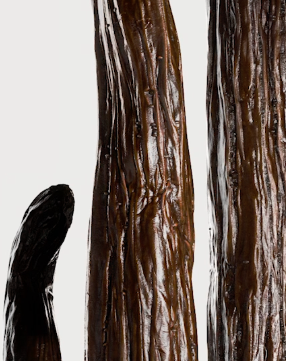 Vanilla Powder Extrait