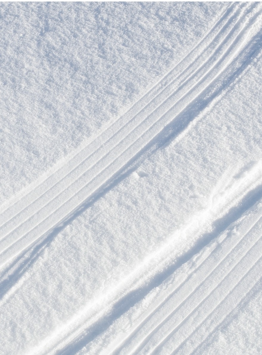 Maison Crivelli – Absinthe Boréale