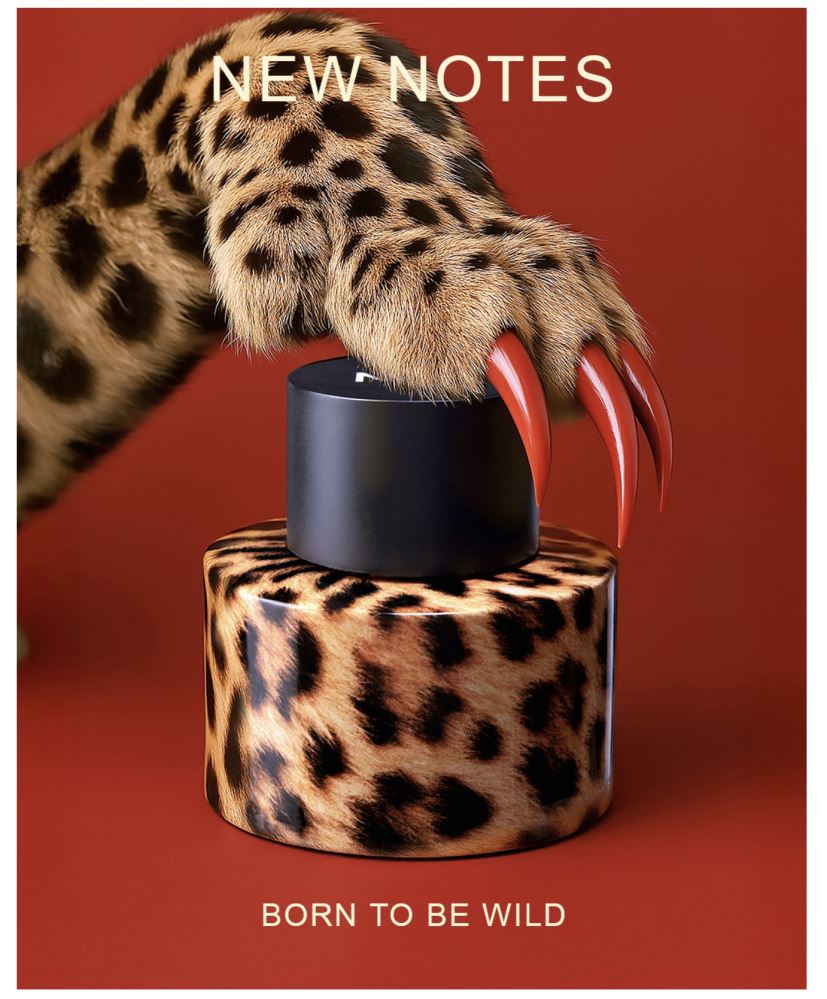 New Notes – Felina