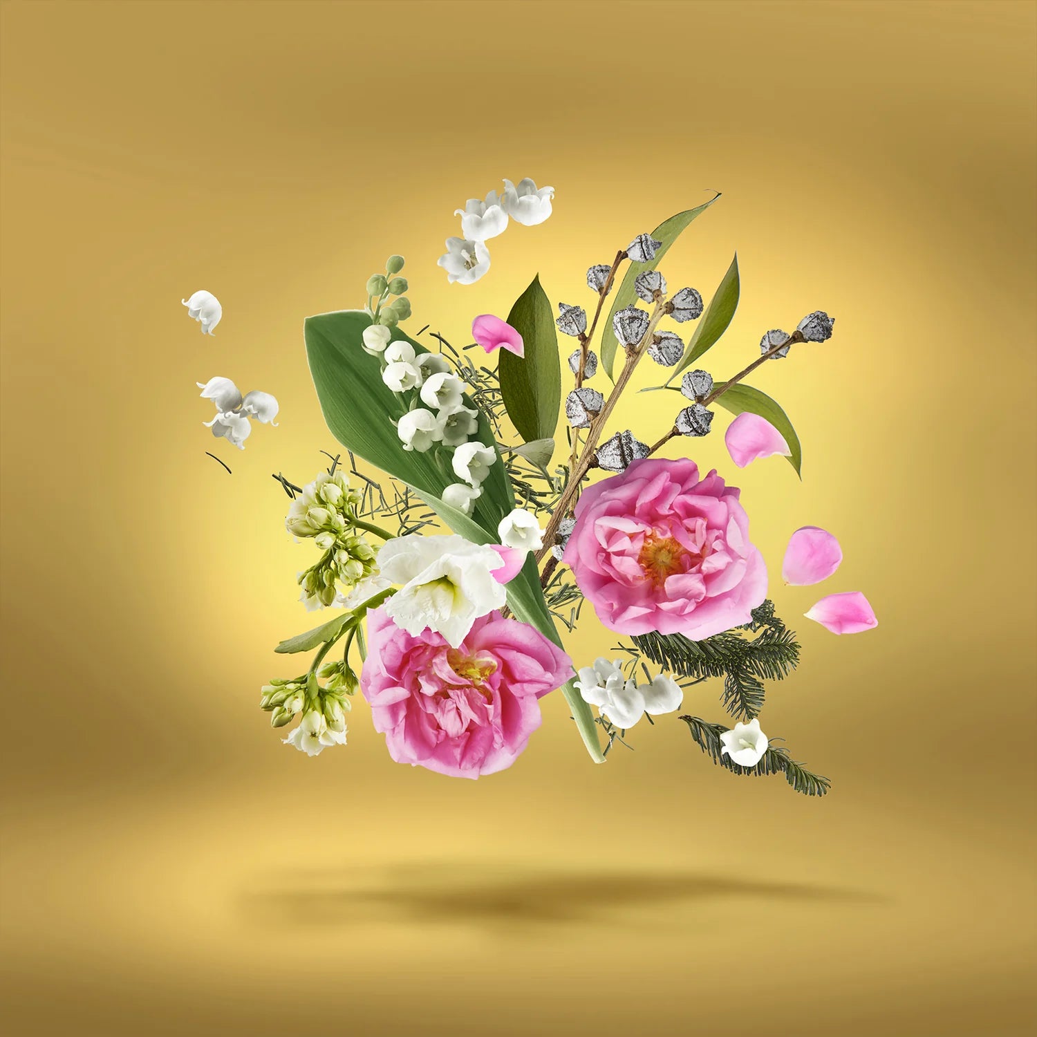 Xerjoff – Accento Overdose