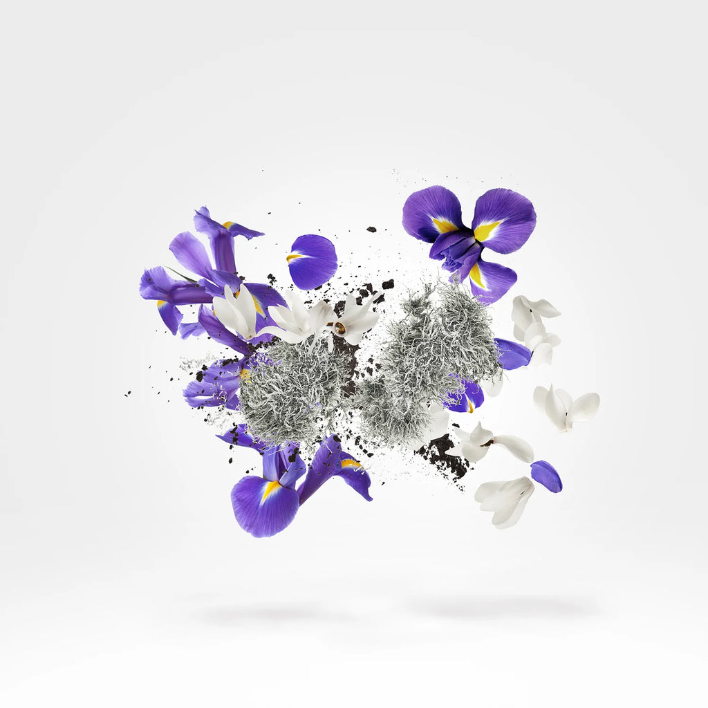 Xerjoff – Apollonia