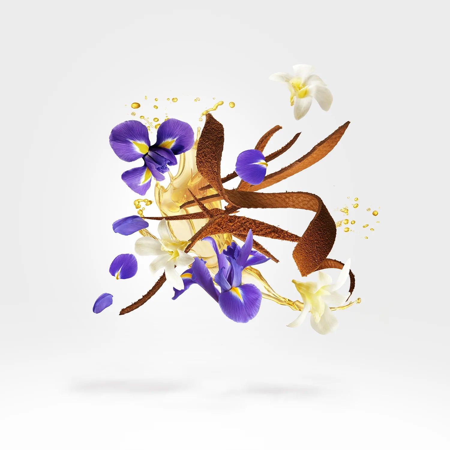 Xerjoff – Aqua Regia