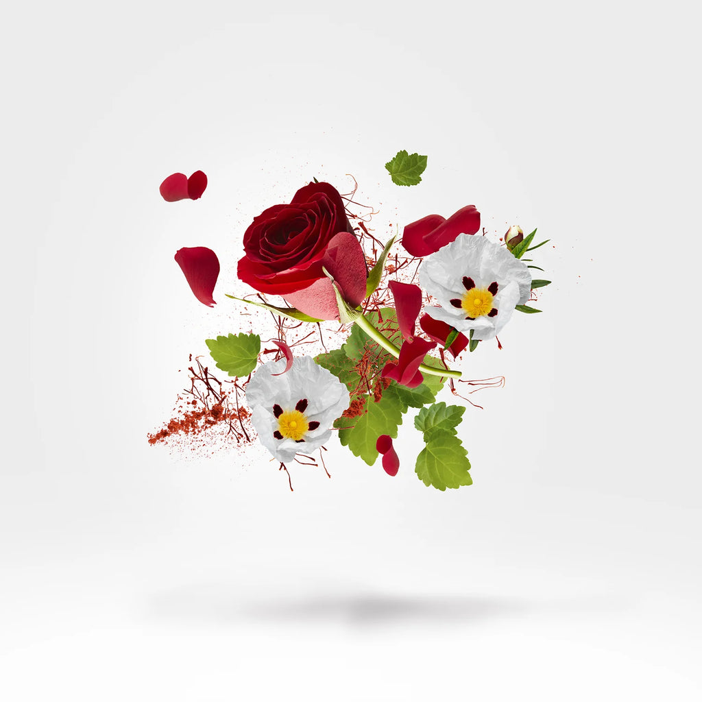 Xerjoff – Astaral