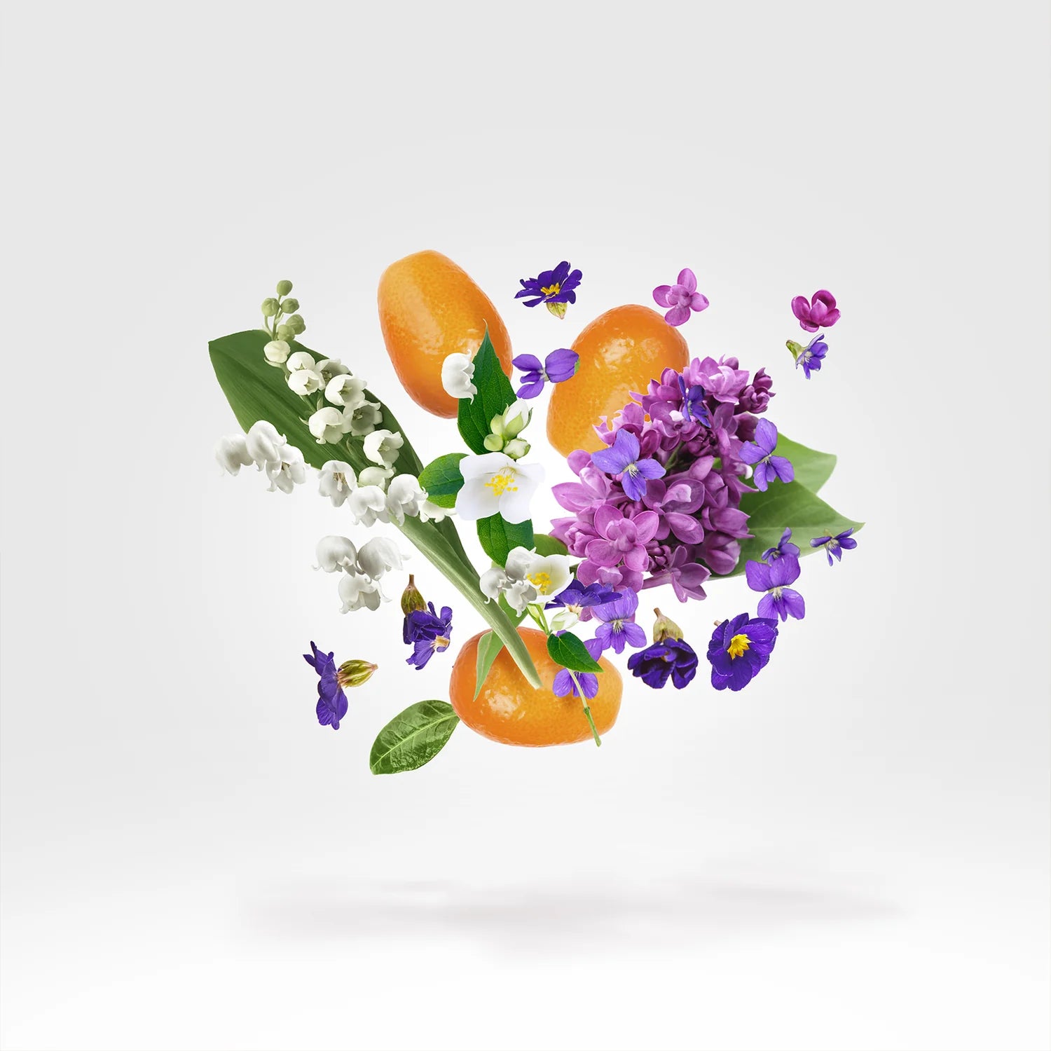 Casamorati – Dama Bianca