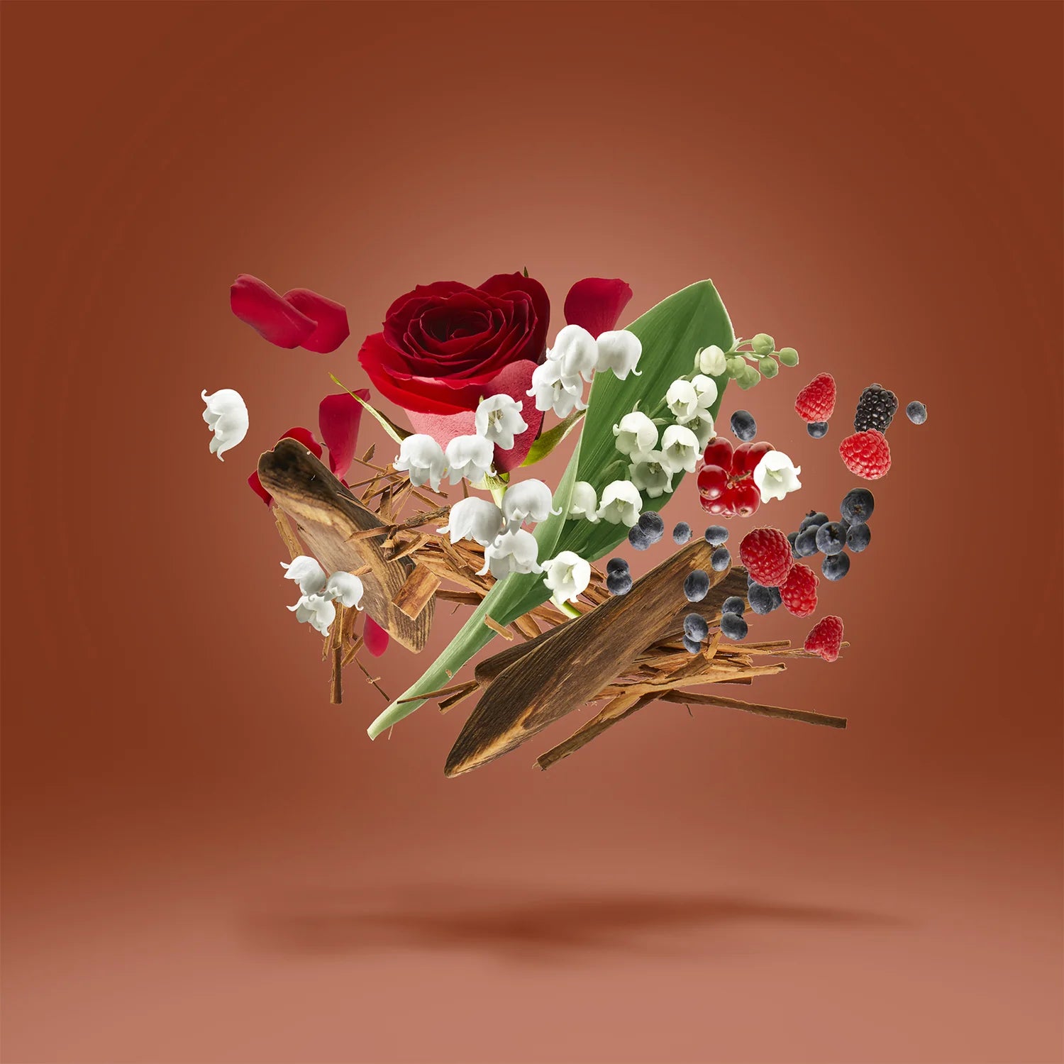 Xerjoff – Damarose