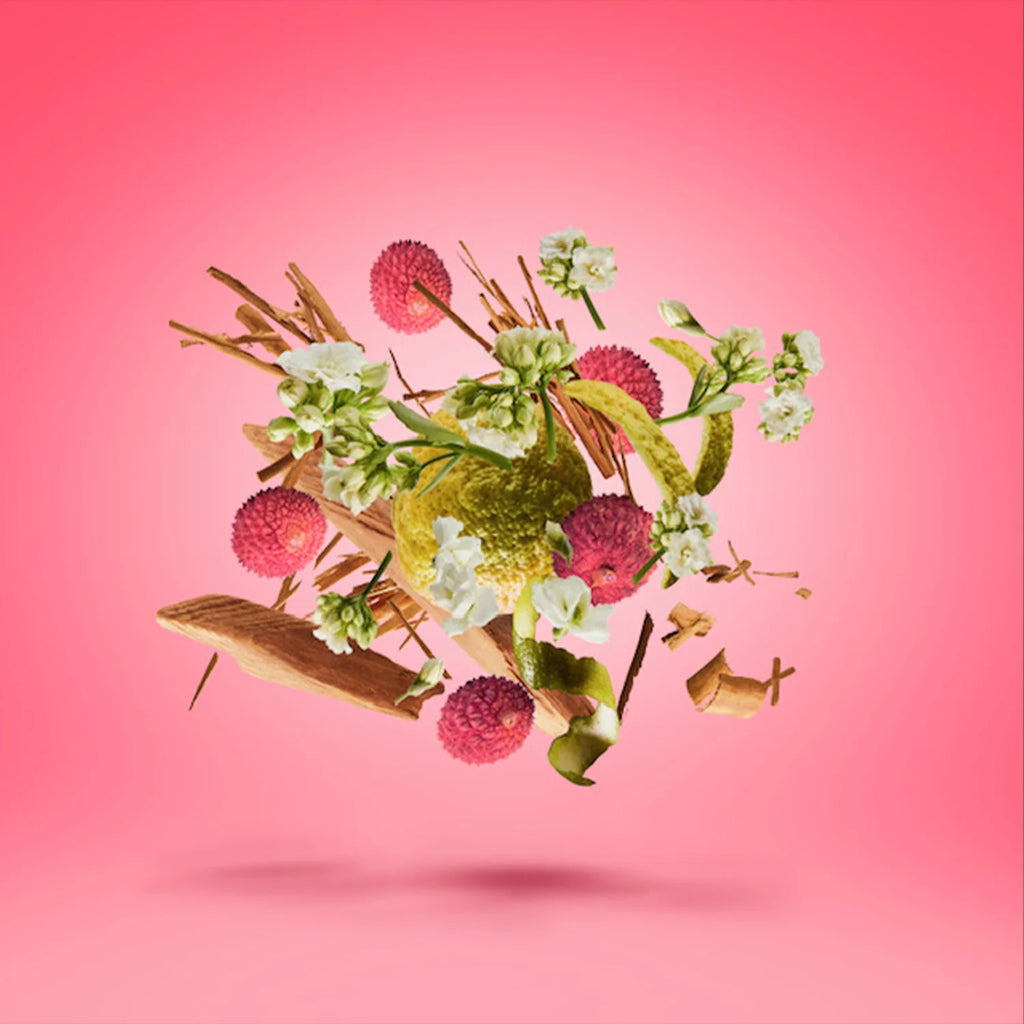 Xerjoff – Elle Anniversary
