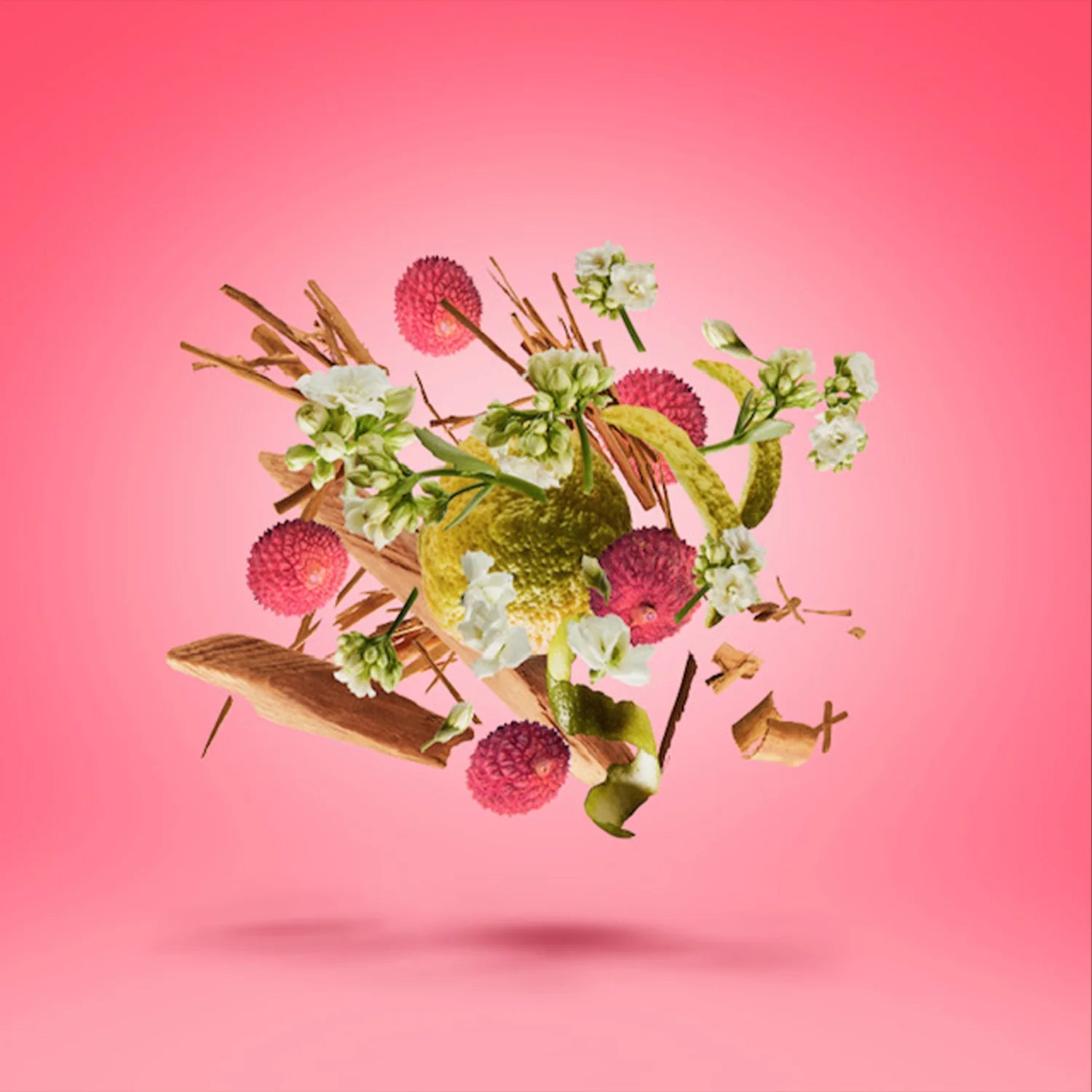 Xerjoff – Elle Anniversary