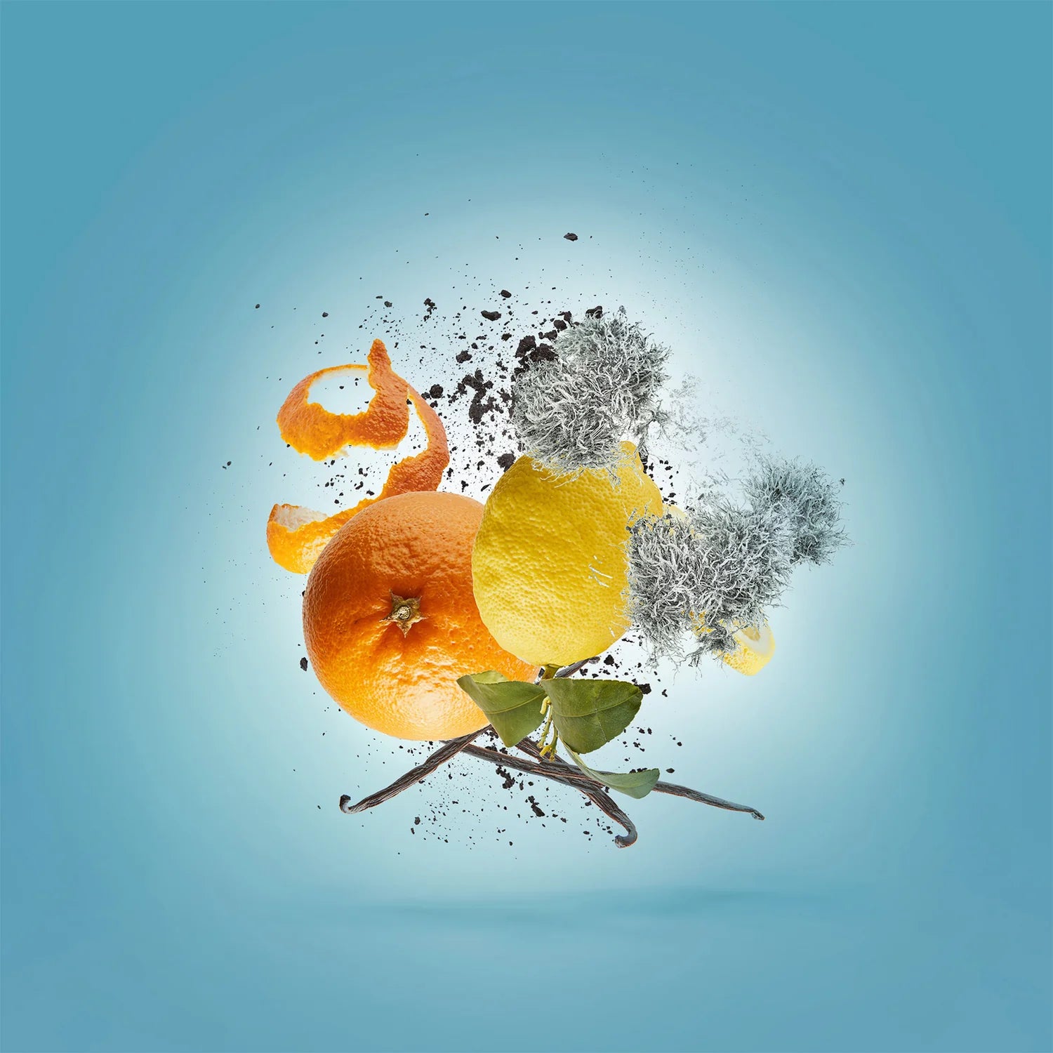 Xerjoff – Erba Pura