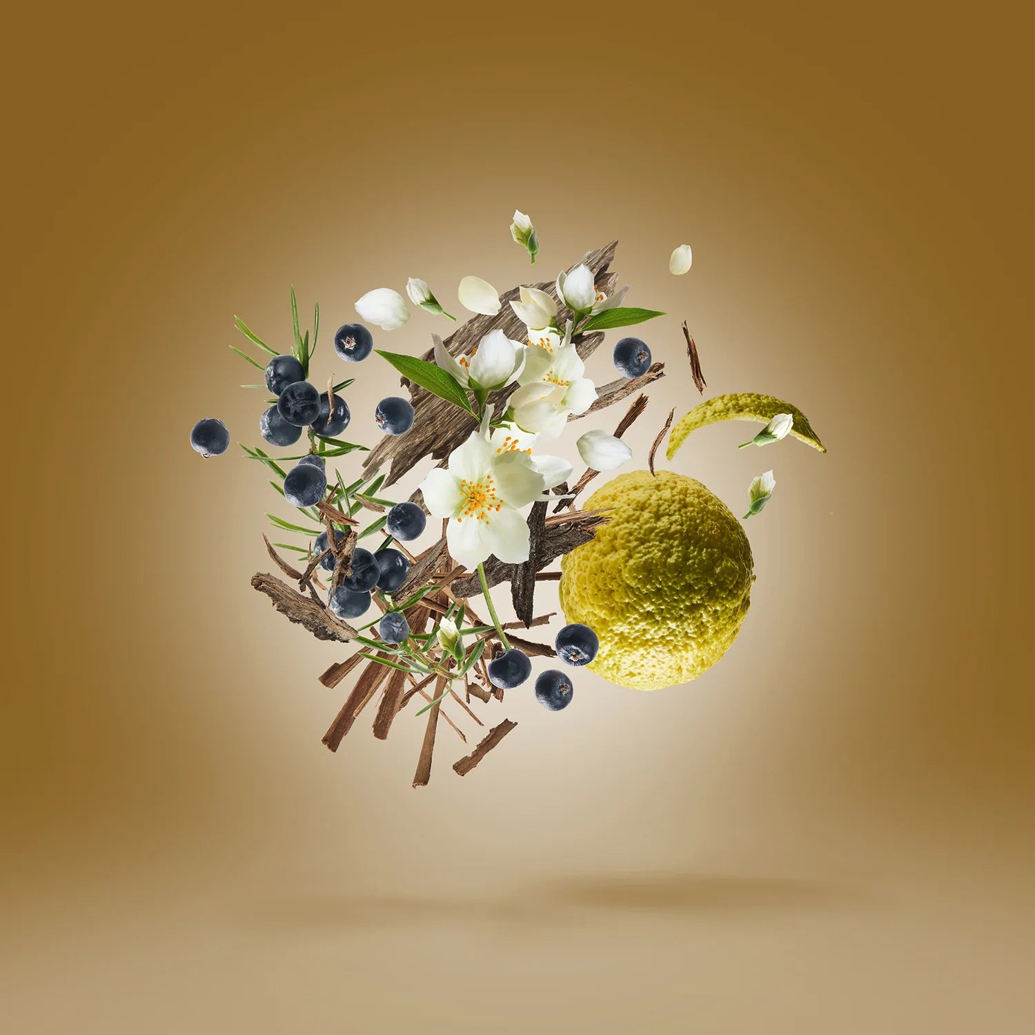 Xerjoff – Fars