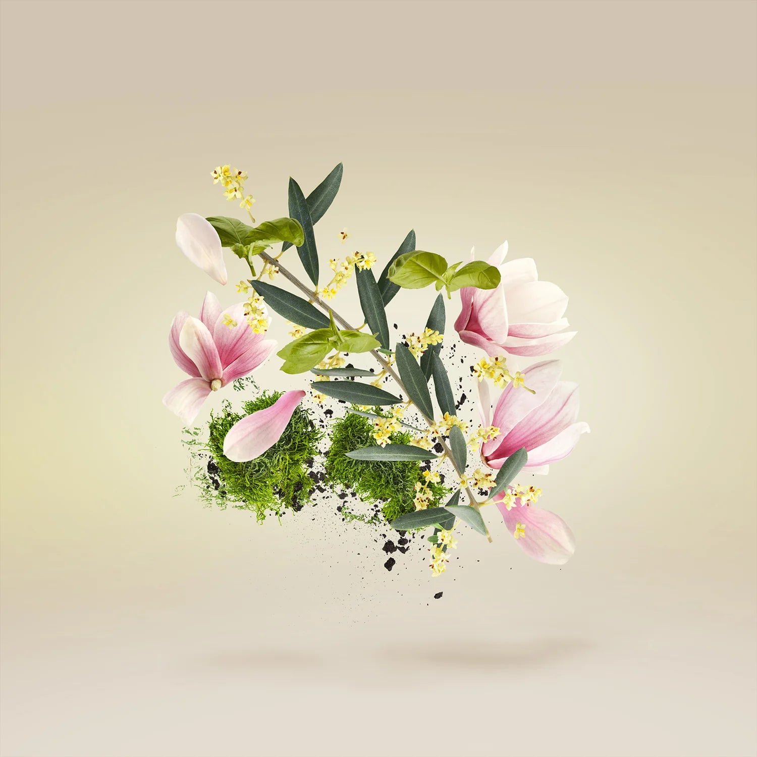 Xerjoff Casamorati – Fiore d’Ulivo