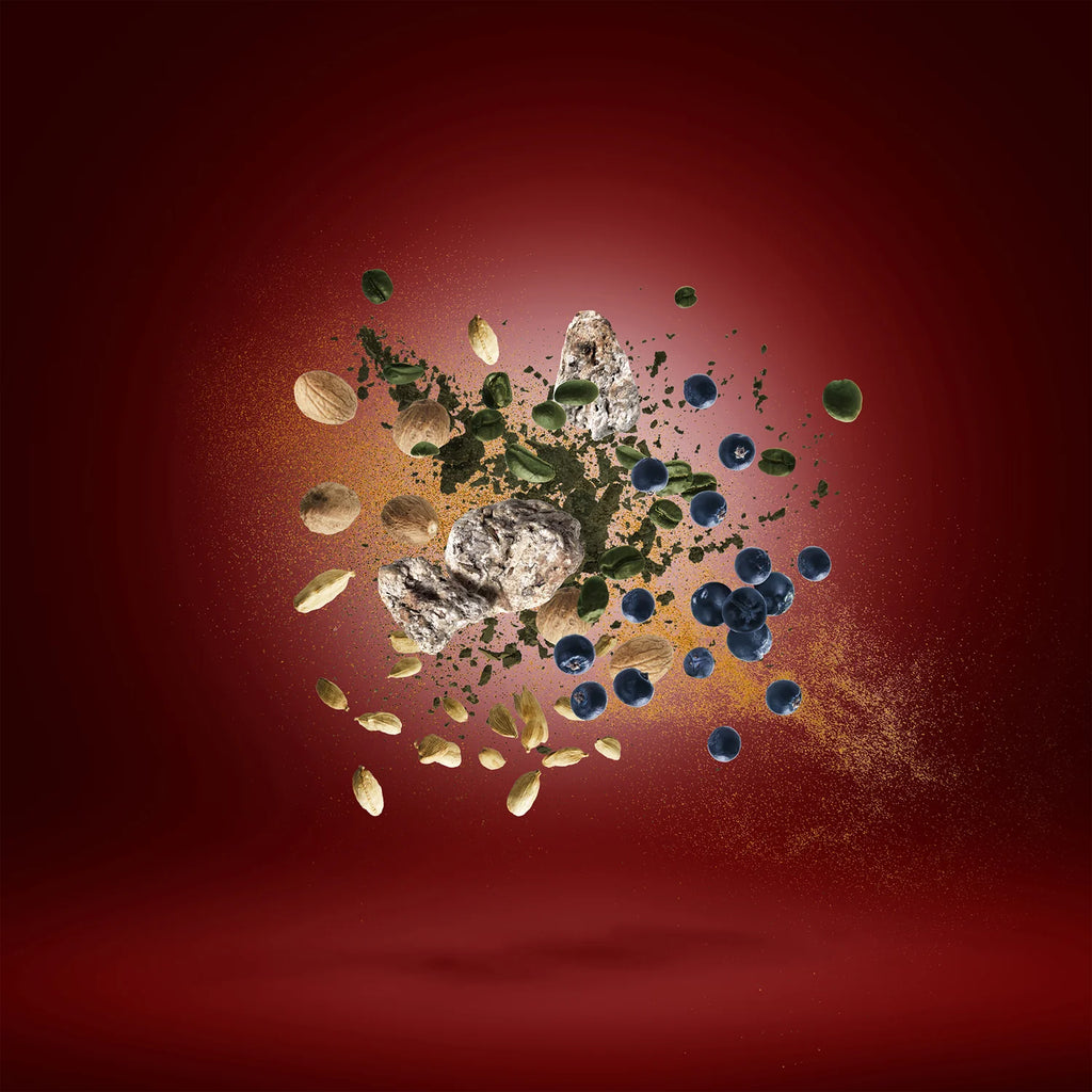 Xerjoff – Golden Green