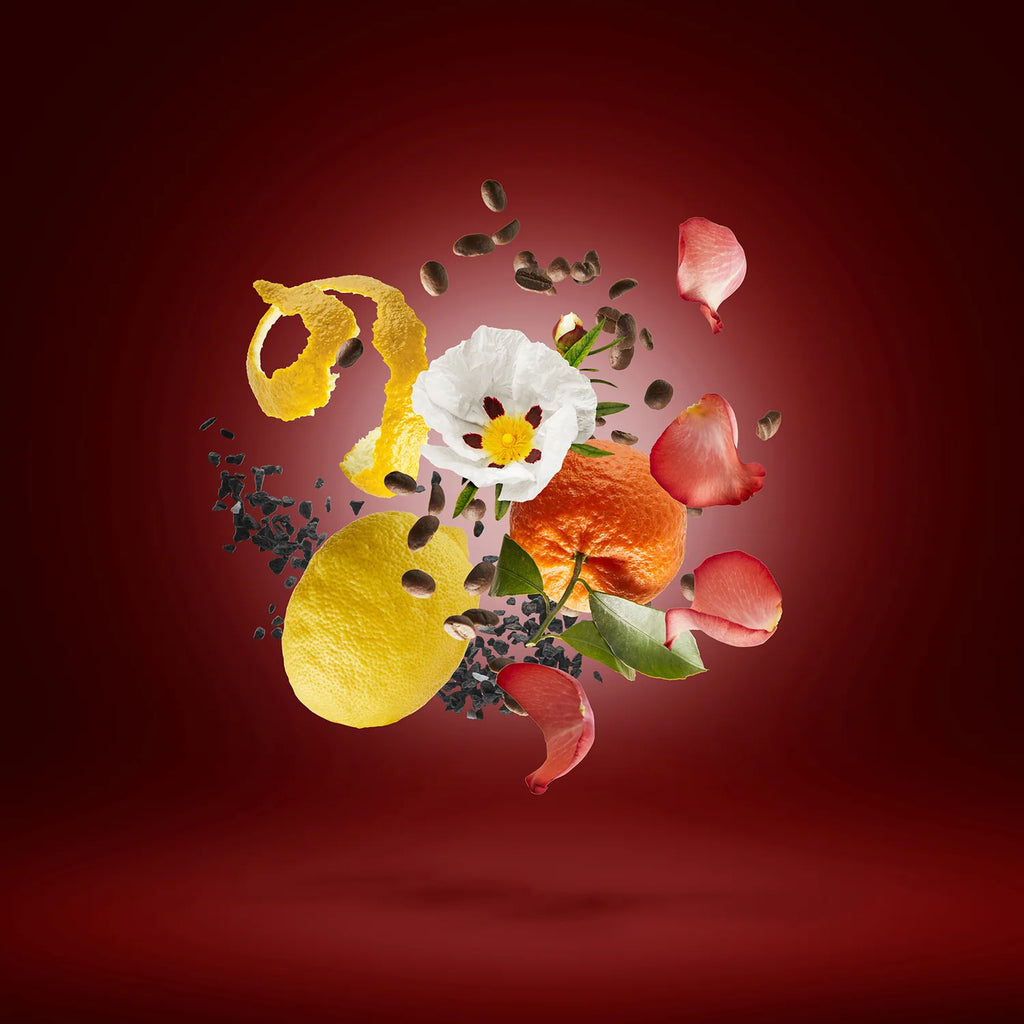 Xerjoff – Golden Moka