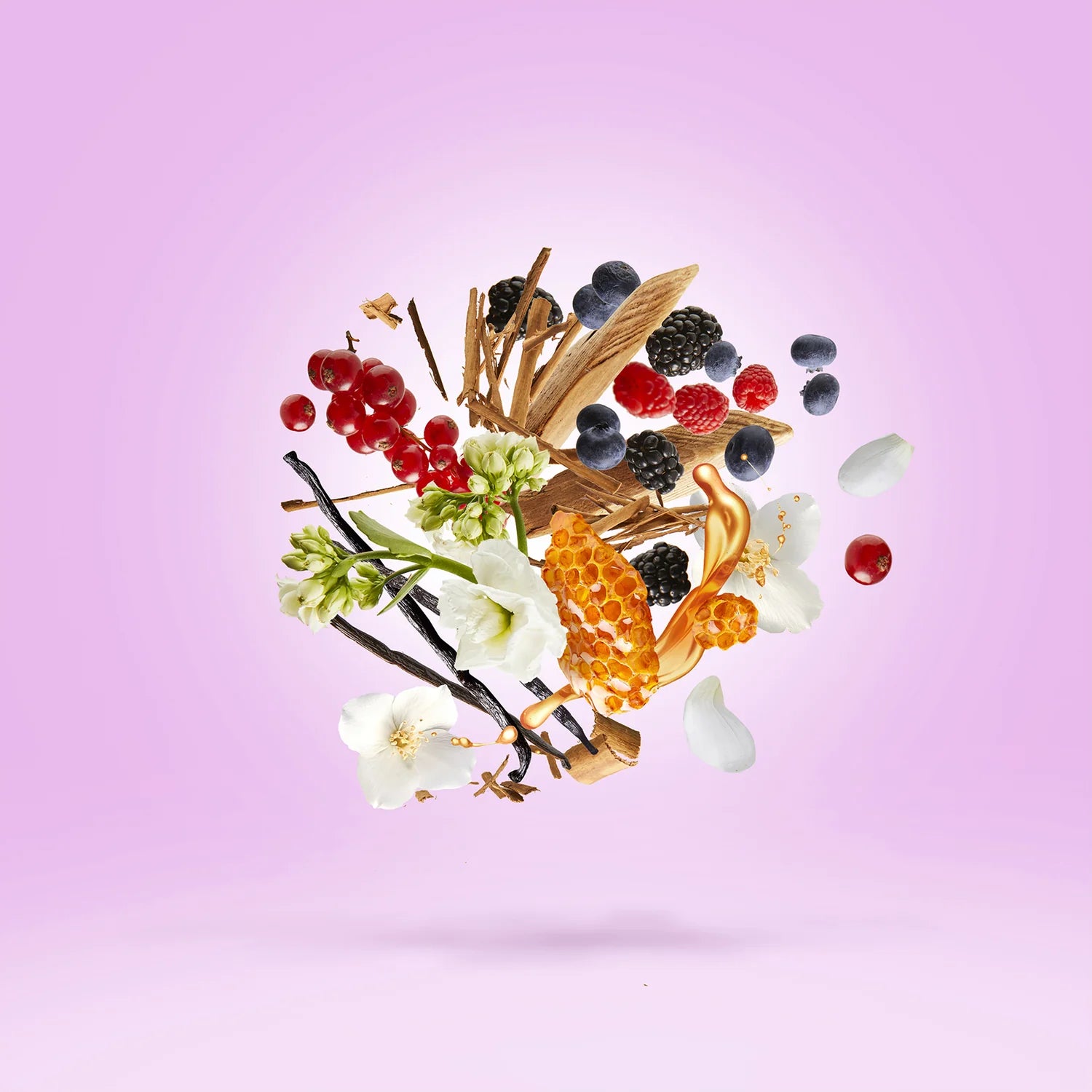 Casamorati – Gran Ballo