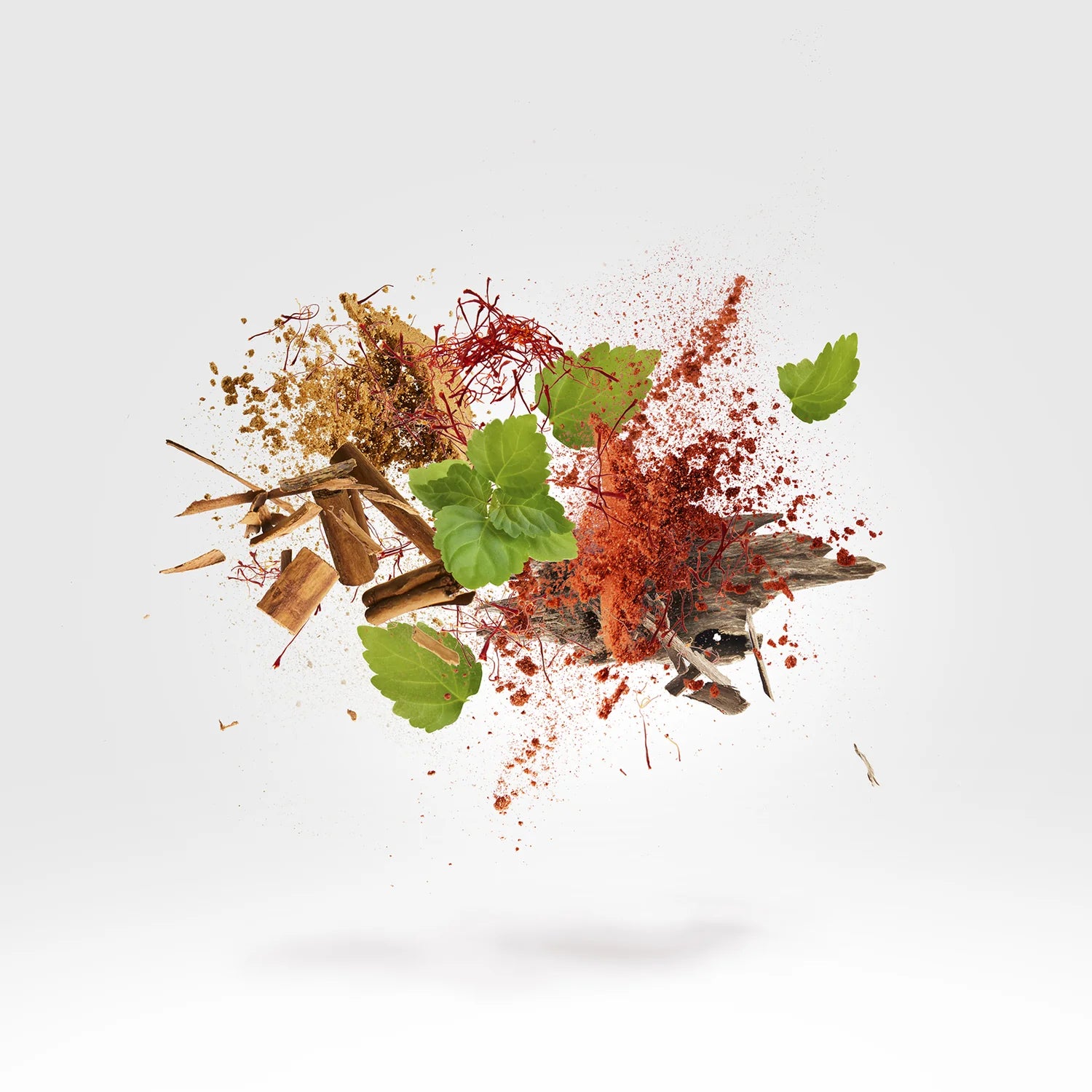 Xerjoff – Hayat