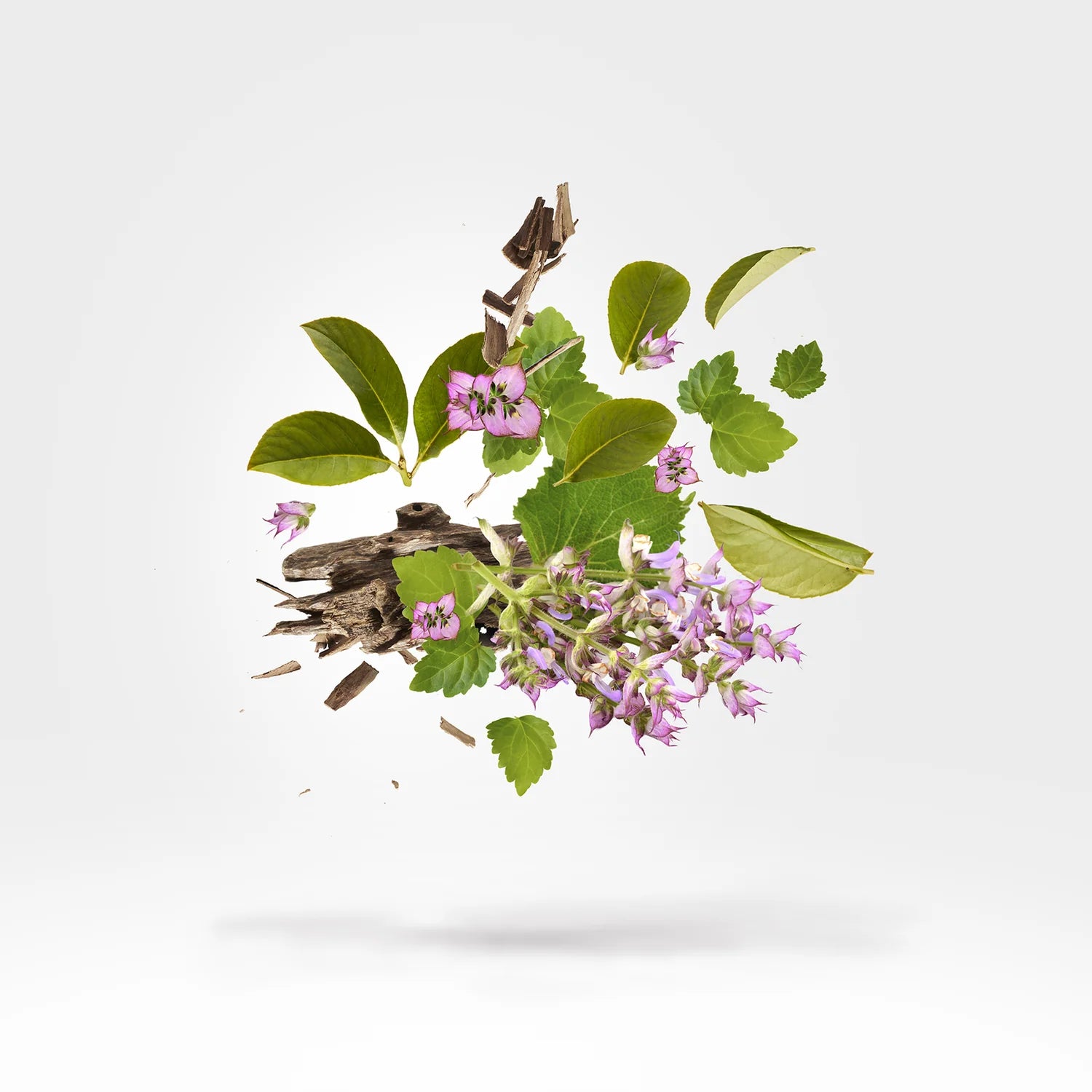 Xerjoff – Holysm