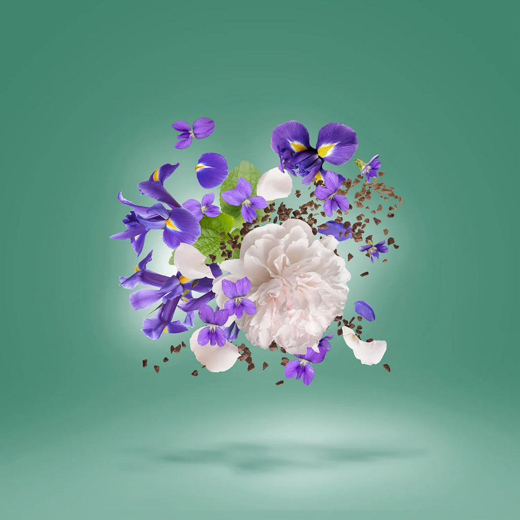 Xerjoff – Irisss