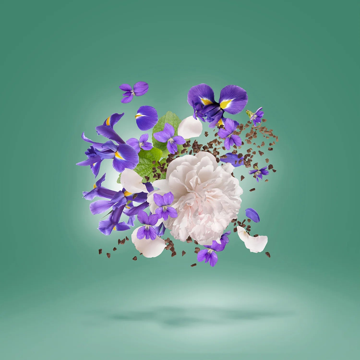 Xerjoff – Irisss