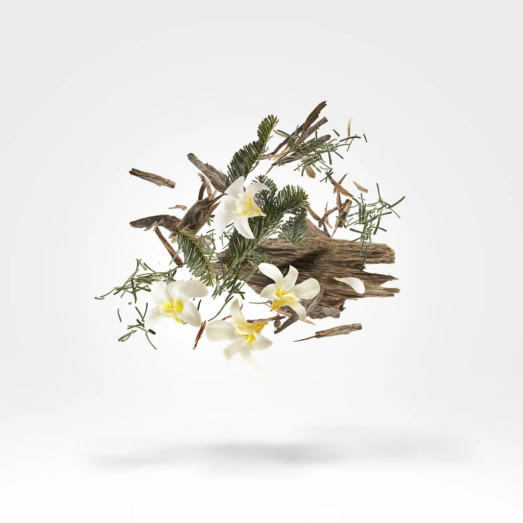 Xerjoff – Kemi