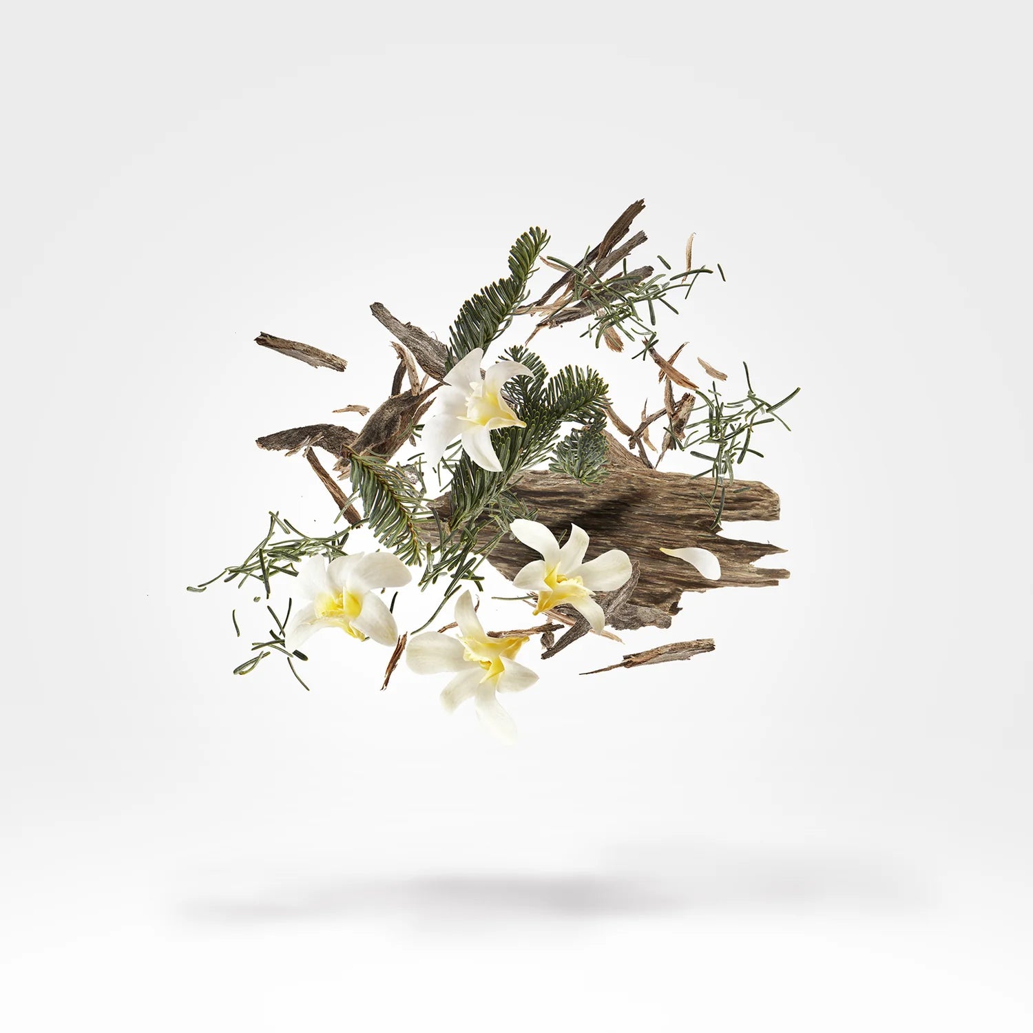 Xerjoff – Kemi