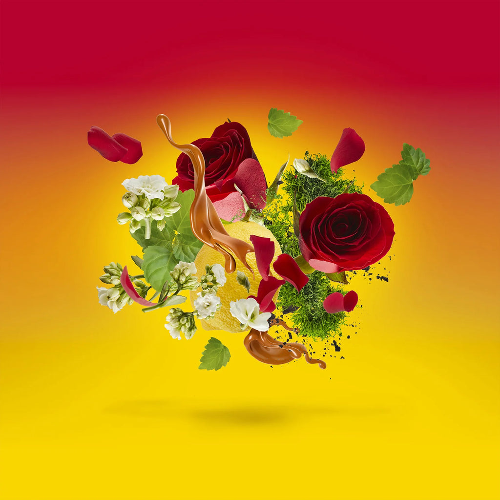 Casamorati – Levar del Sole