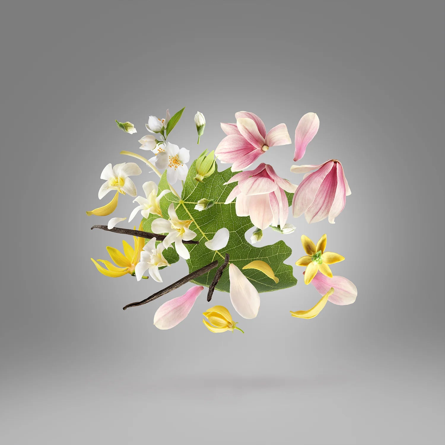 Xerjoff – Ouverture