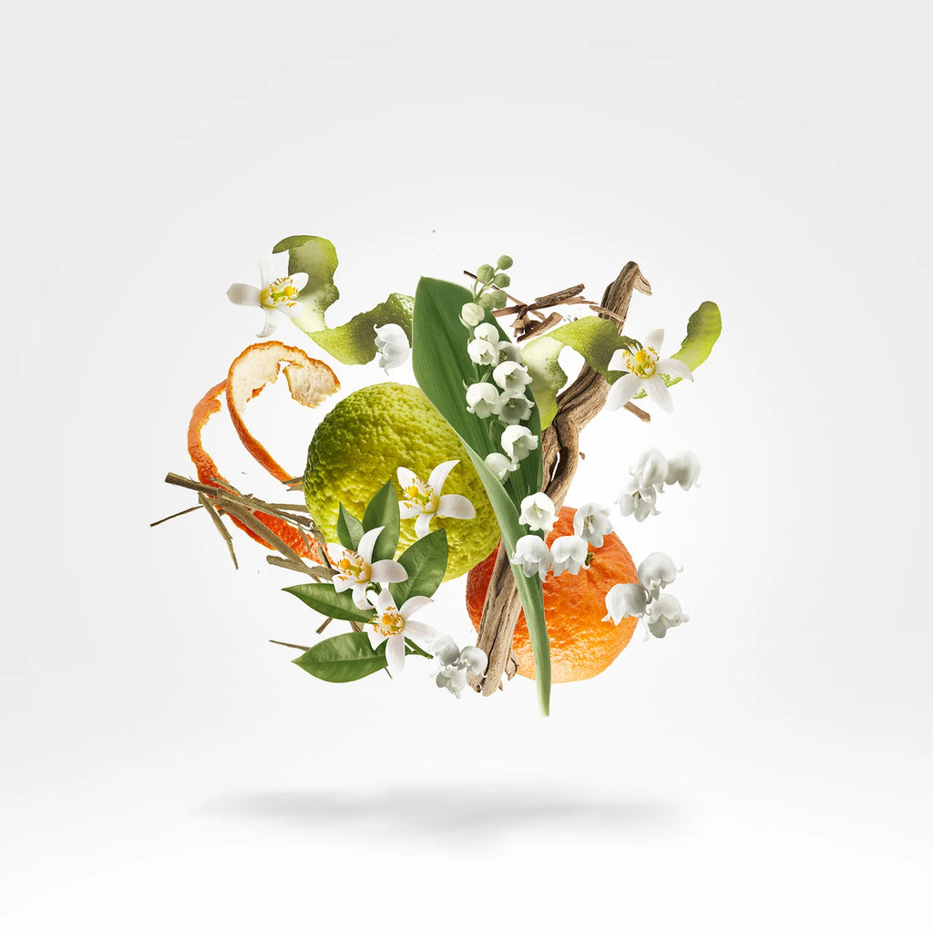 Xerjoff – Renaissance