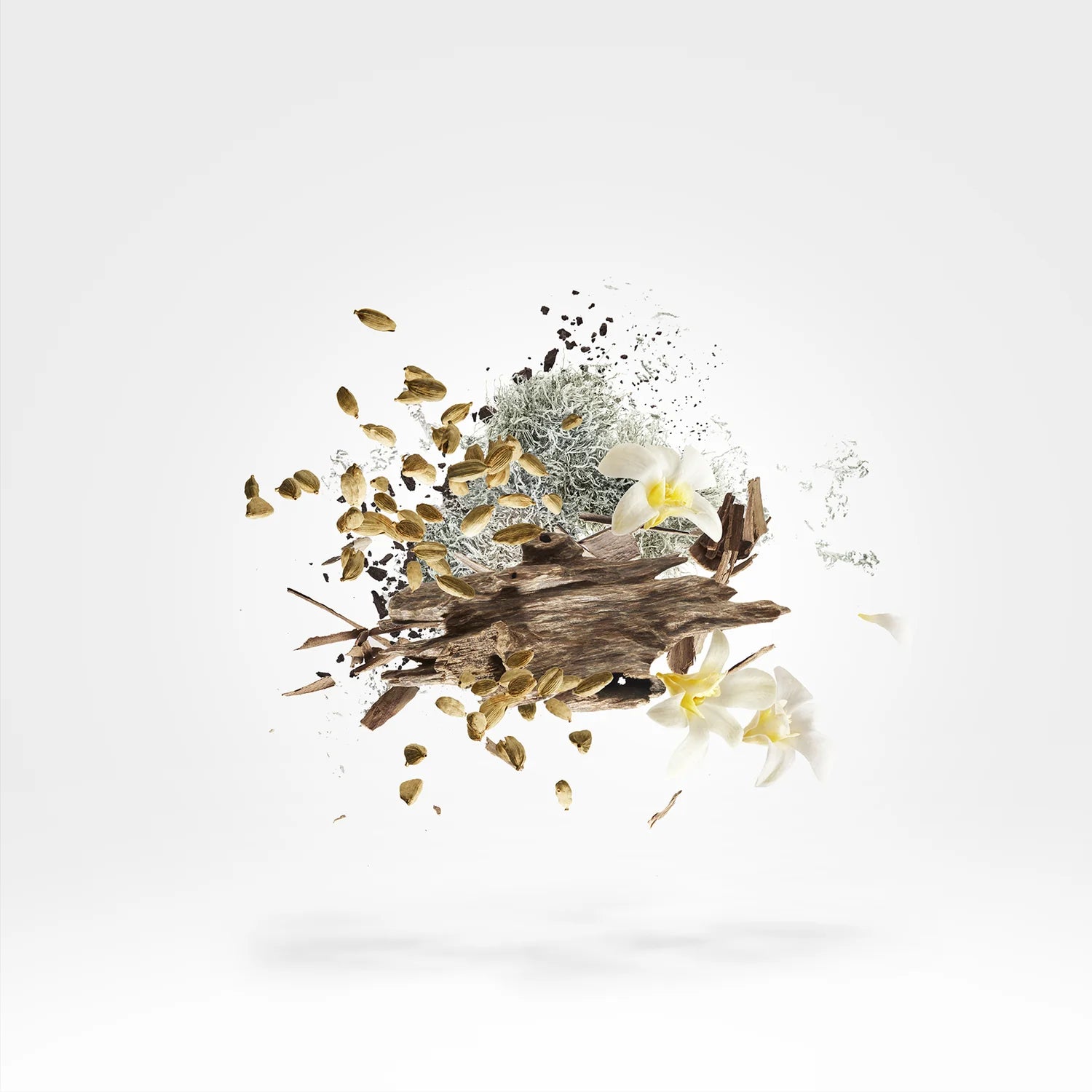 Xerjoff – Symphonium