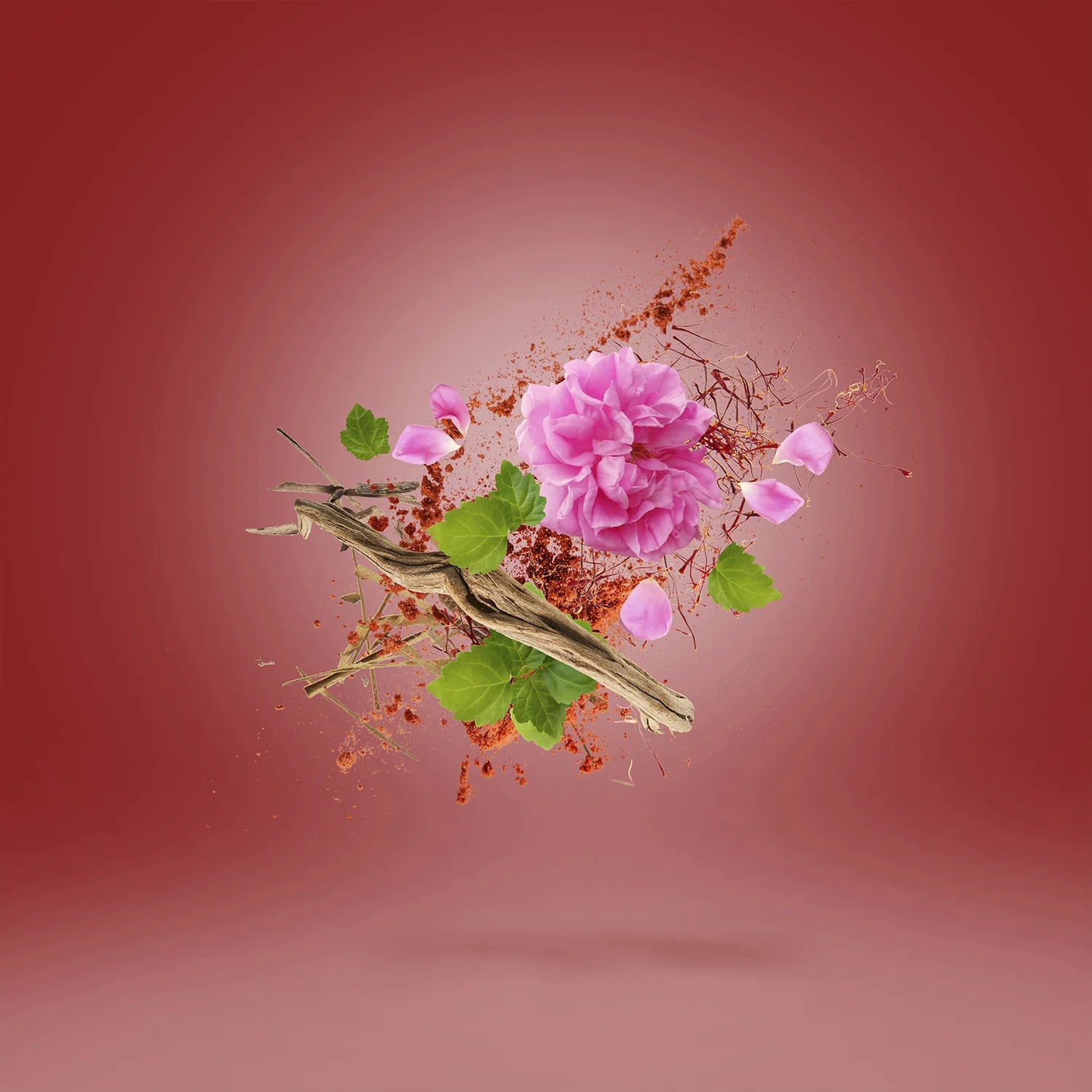 Xerjoff – Wardasina